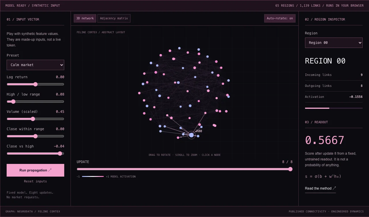 Neural Lab — a capture of the interactive model on this website.